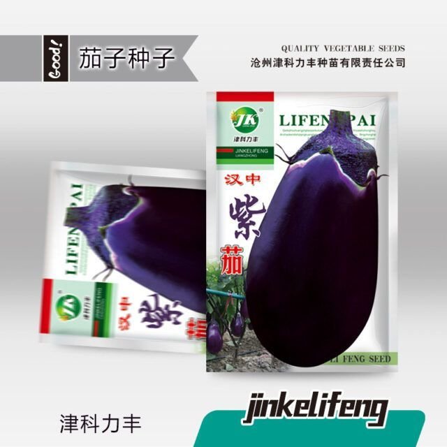 বেগুনী রঙের বেগুন (purple eggplant Seeds)