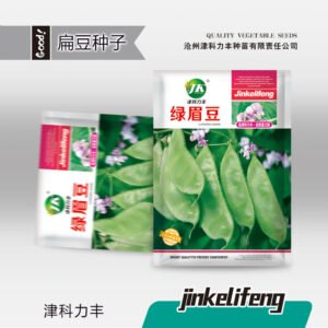 Healthy seedlings from premium seeds
