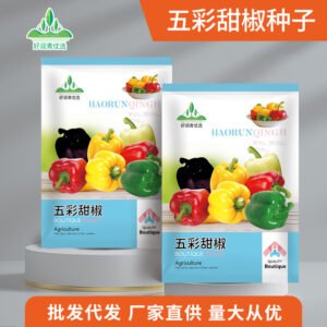 Healthy seedlings from premium seeds