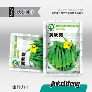 Healthy seedlings from premium seeds