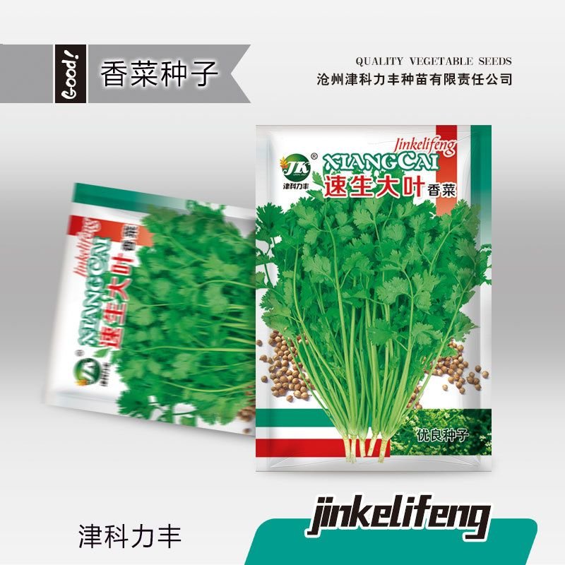 ধনে পাতার বীজ (Leaf Coriander Seeds)