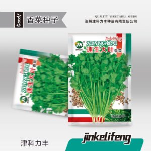 Healthy seedlings from premium seeds
