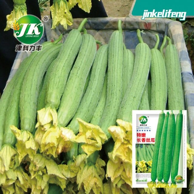 ফড়ুলের বীজ (Fragrant Loofah Seeds)