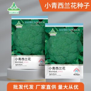 Healthy seedlings from premium seeds