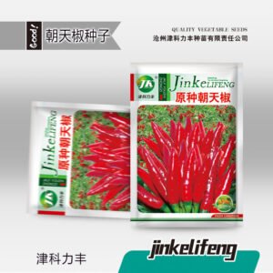Healthy seedlings from premium seeds