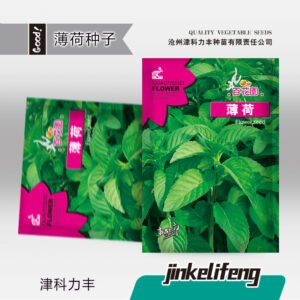 Healthy seedlings from premium seeds