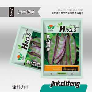 Healthy seedlings from premium seeds