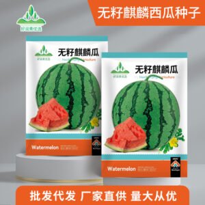 Healthy seedlings from premium seeds