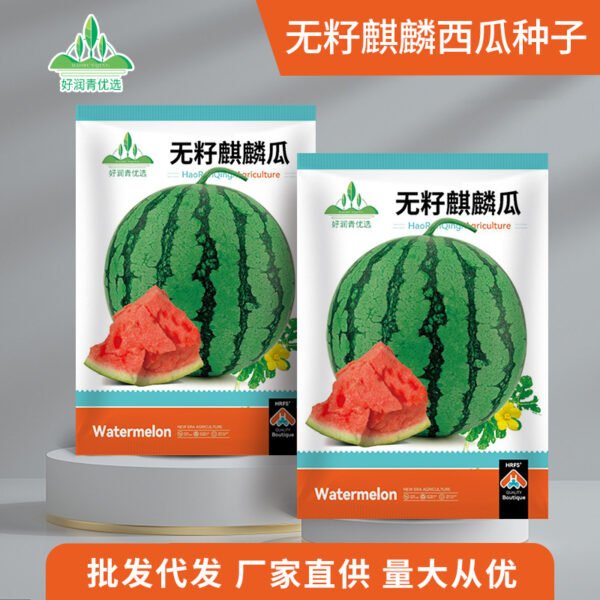 Healthy seedlings from premium seeds
