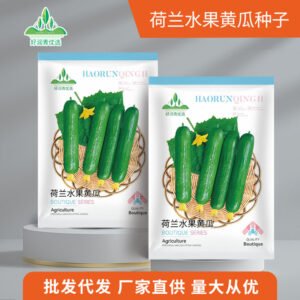Healthy seedlings from premium seeds