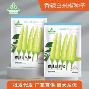 Healthy seedlings from premium seeds