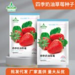 Healthy seedlings from premium seeds