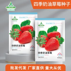 Healthy seedlings from premium seeds