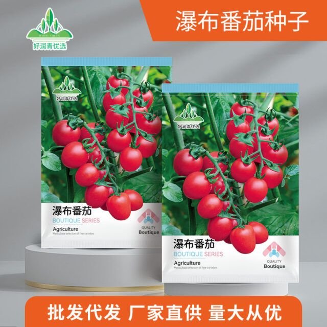 ওয়াটারফল টমোটো (Waterfall Tomato Seeds)
