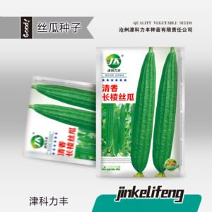 Healthy seedlings from premium seeds