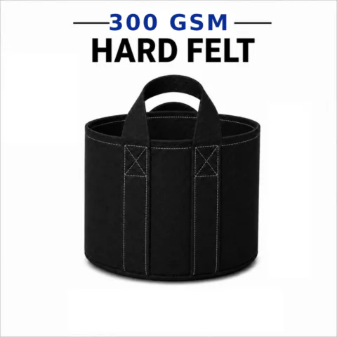 300 GSM Black Color