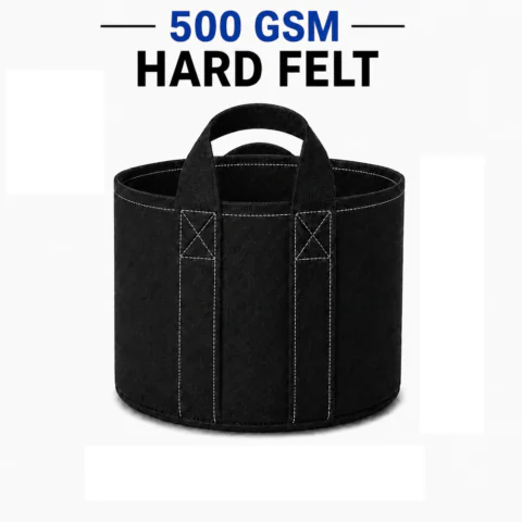 500 GSM Black Color