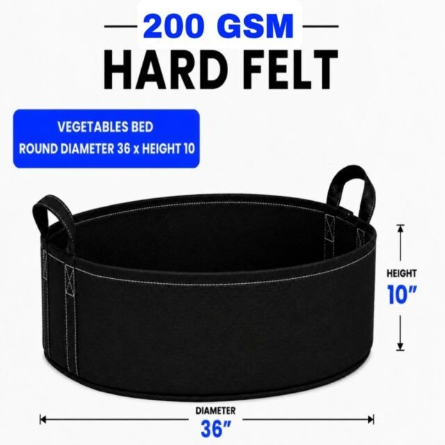 Round Bed 36x10 (জিও বেড) – 200 GSM