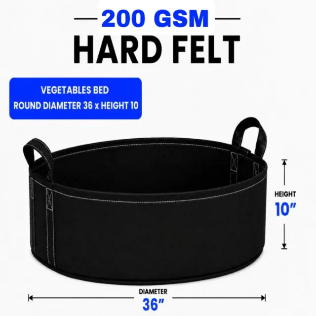 Round Bed 36x10 (জিও বেড) – 200 GSM