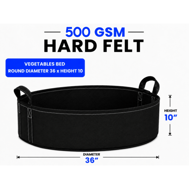 Round Bed 36x10 (জিও বেড) – 500 GSM