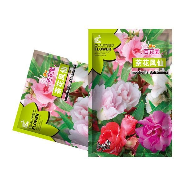 ক্যামেলিয়া ফুলের বীজ   (Camellia Flower Seeds)