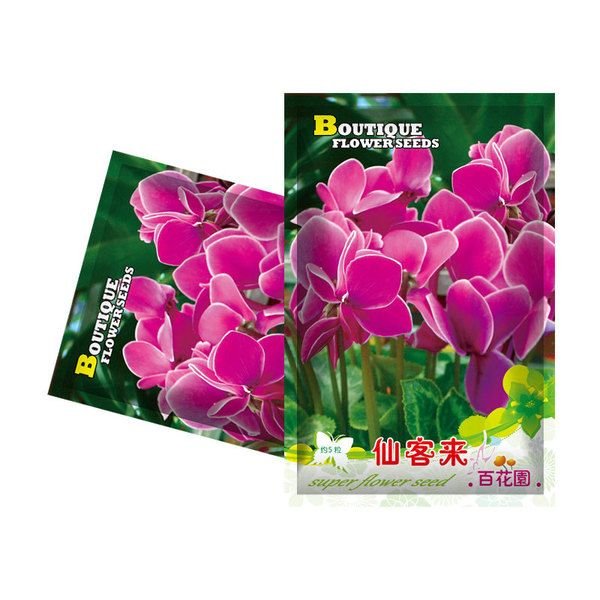সাইক্লামেন ফুলের বীজ  (Cyclamen Flower Seeds)