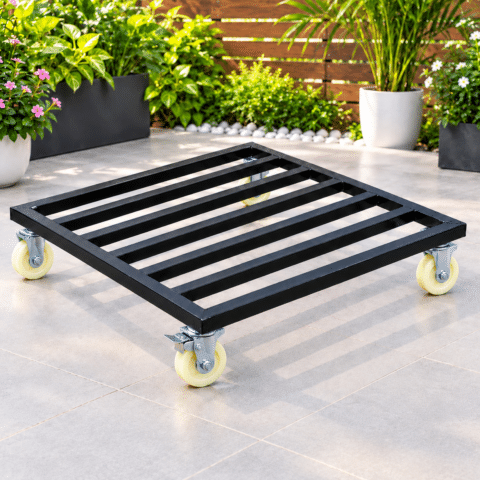 Trolley (ট্রলি)